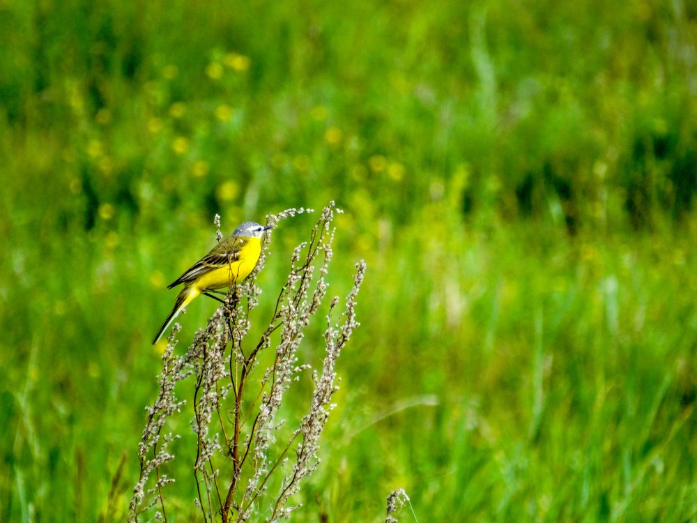 Photograph by Григорий Сергеевич
