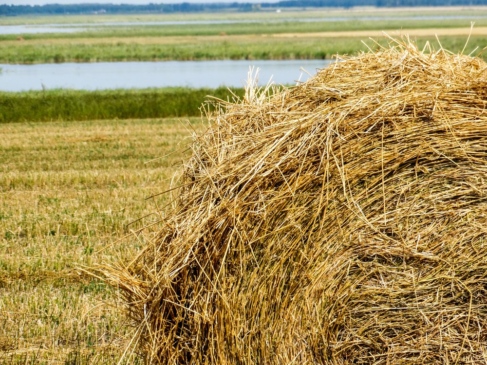 Photograph by Григорий Сергеевич