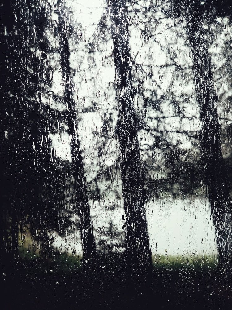 Фотография автора Gergana Tileva