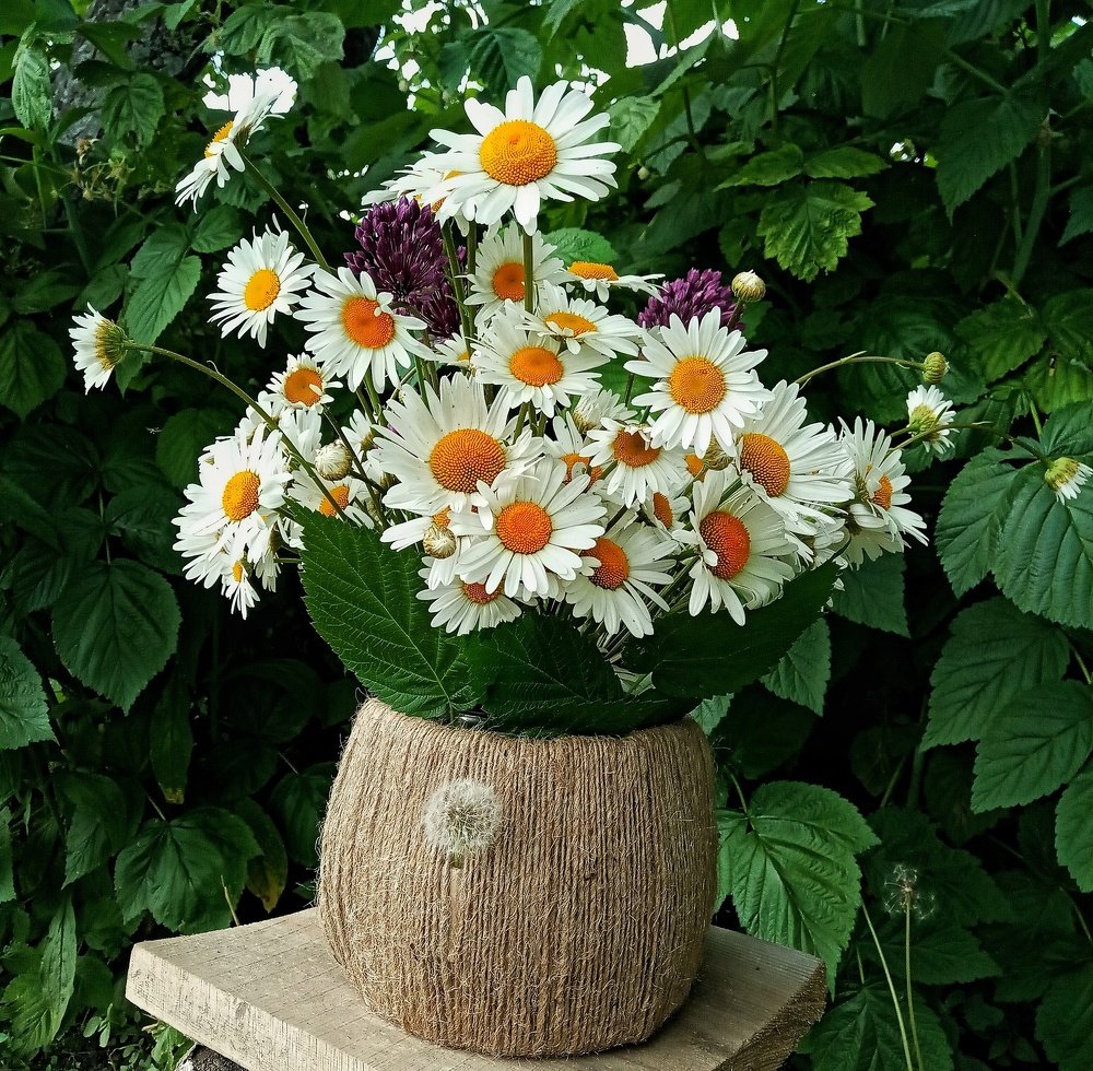 Photograph by Оля Белоусова