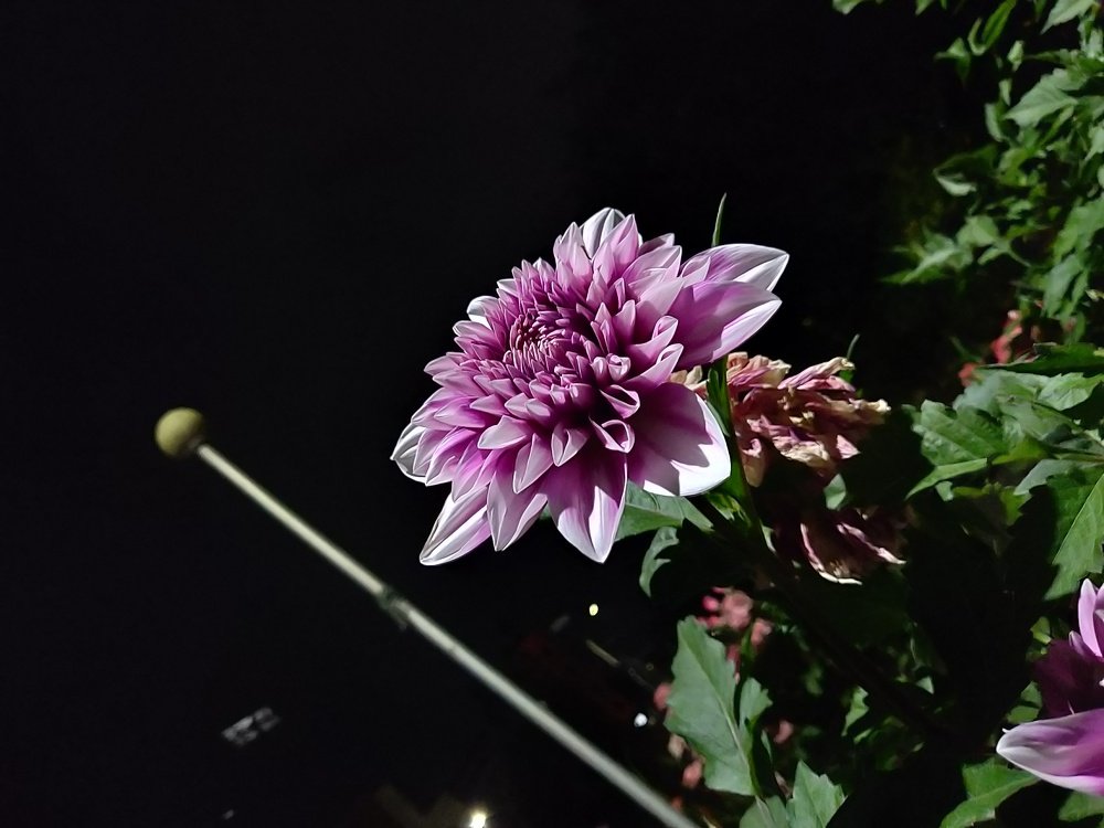 Night photography