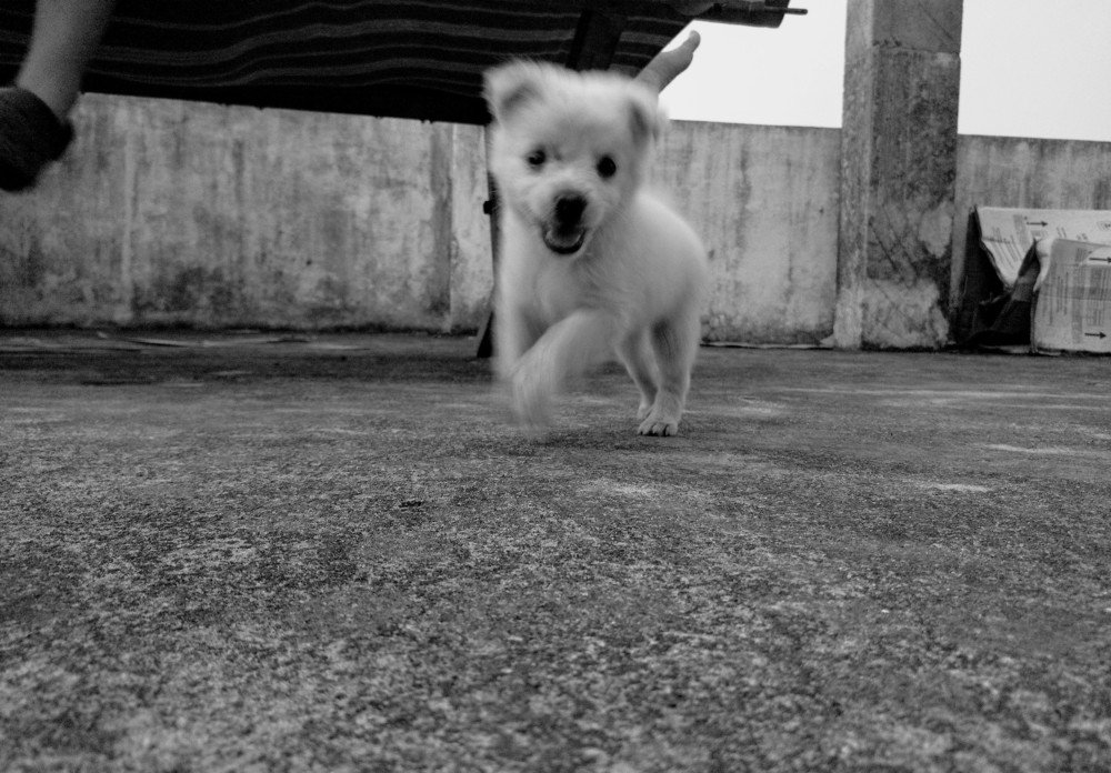 Фотография автора Darling Varma