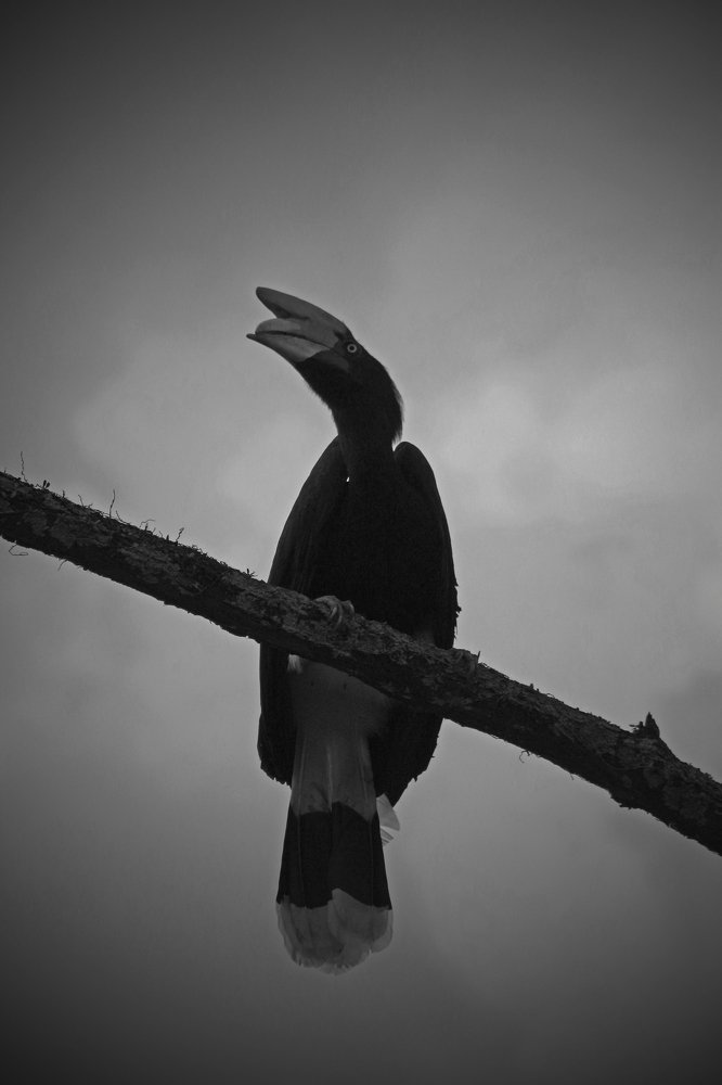 Photograph by Deden Maqsudi