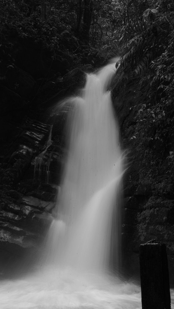 Photograph by Luis Manuel Jiménez Tabares