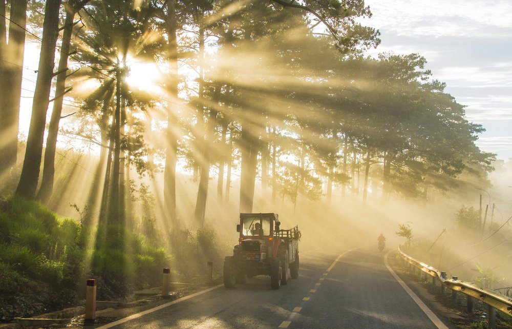 The way to the field