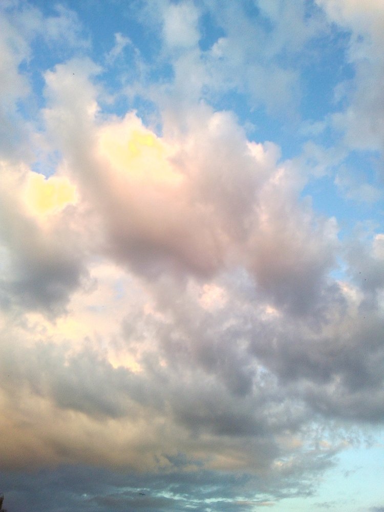 Перед дождем