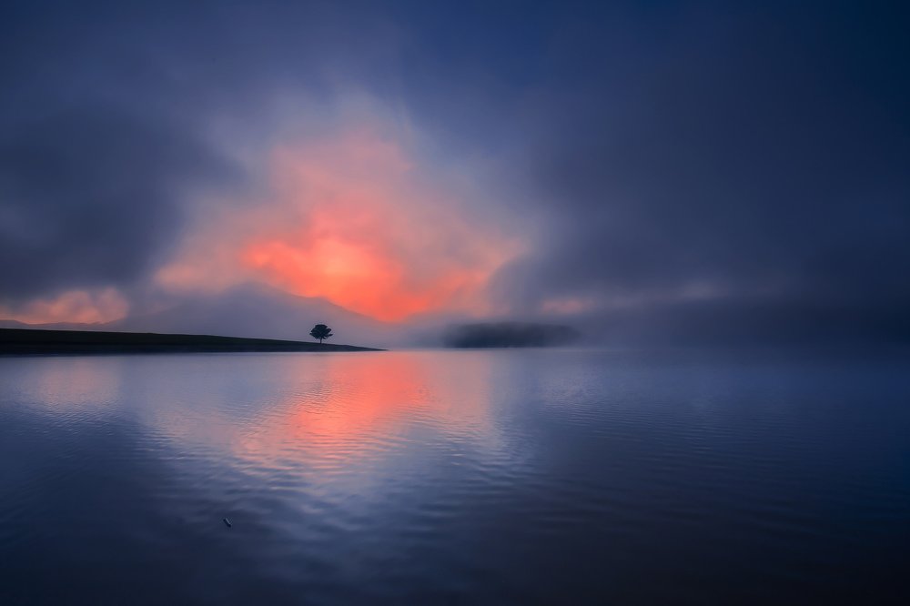 Photograph by Ga Nguyen Ngoc