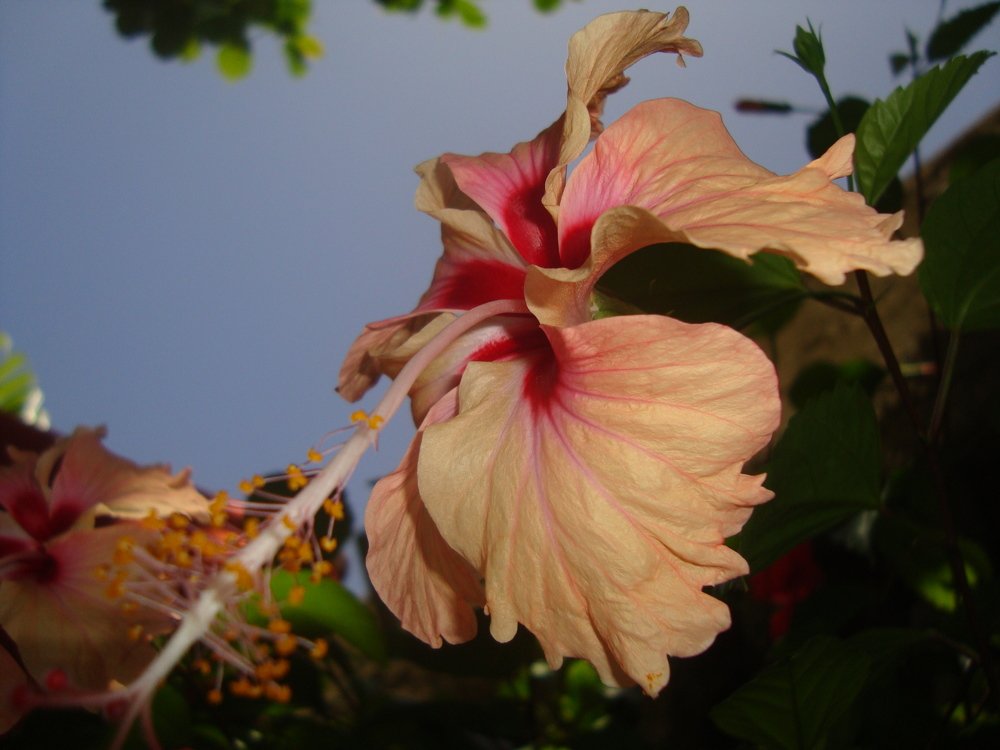 Photograph by angela papadia