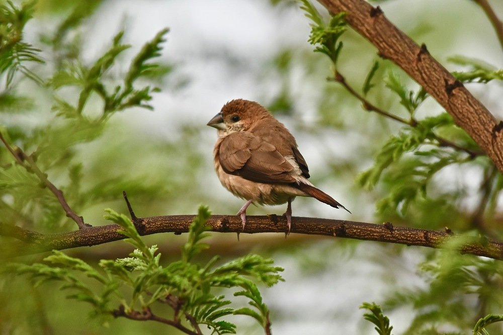 Photograph by Rishay Madan