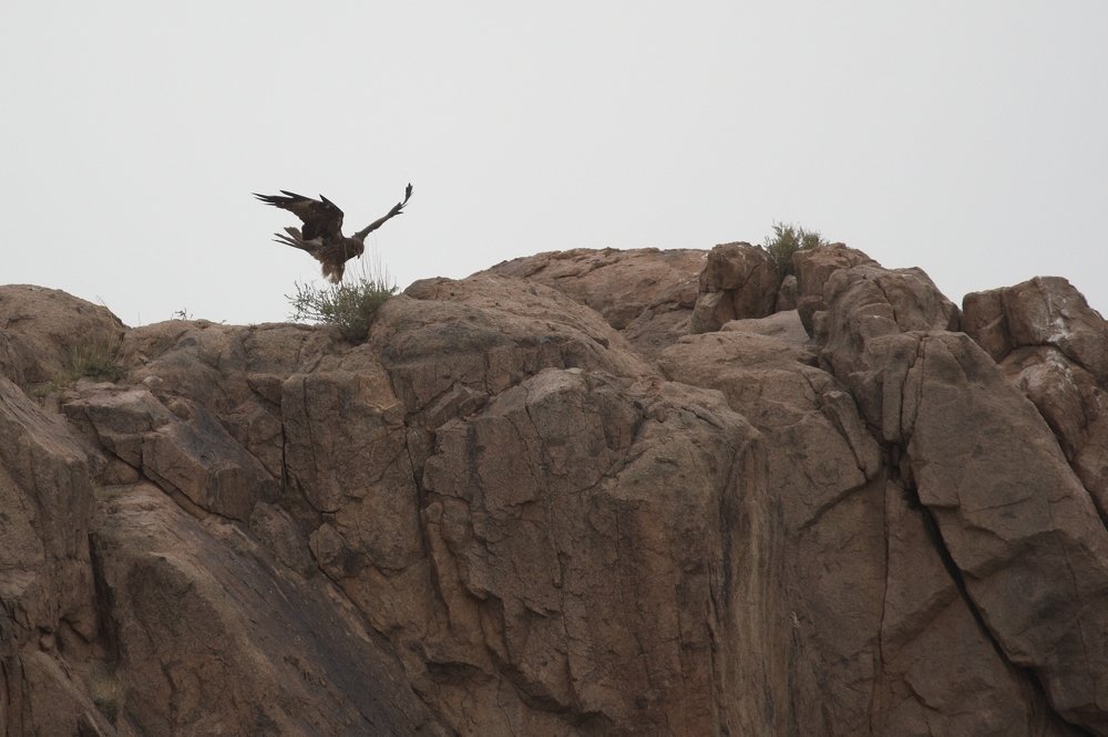 Photograph by Анастасия Тупицына