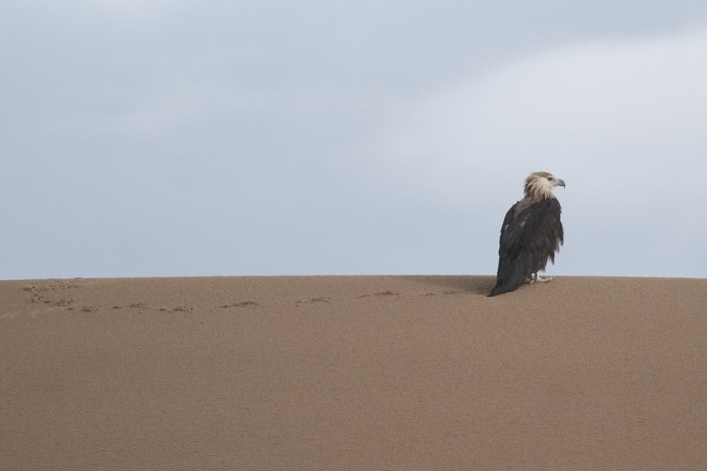 Photograph by Анастасия Тупицына