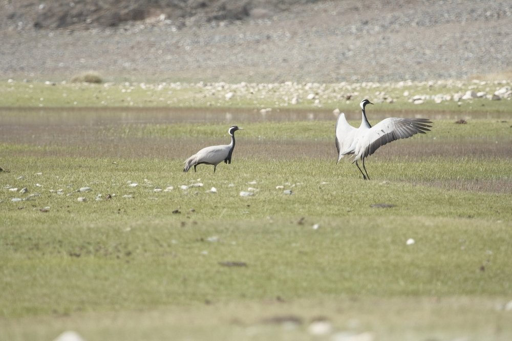 Photograph by Анастасия Тупицына