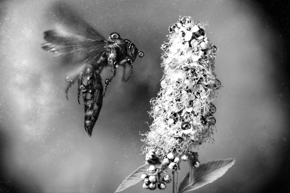 Photograph by Алексей Карпинчик