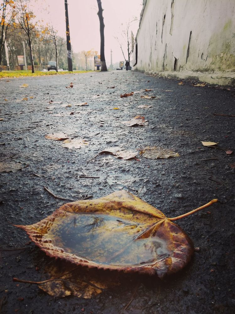 Photograph by Inzyk Oleg