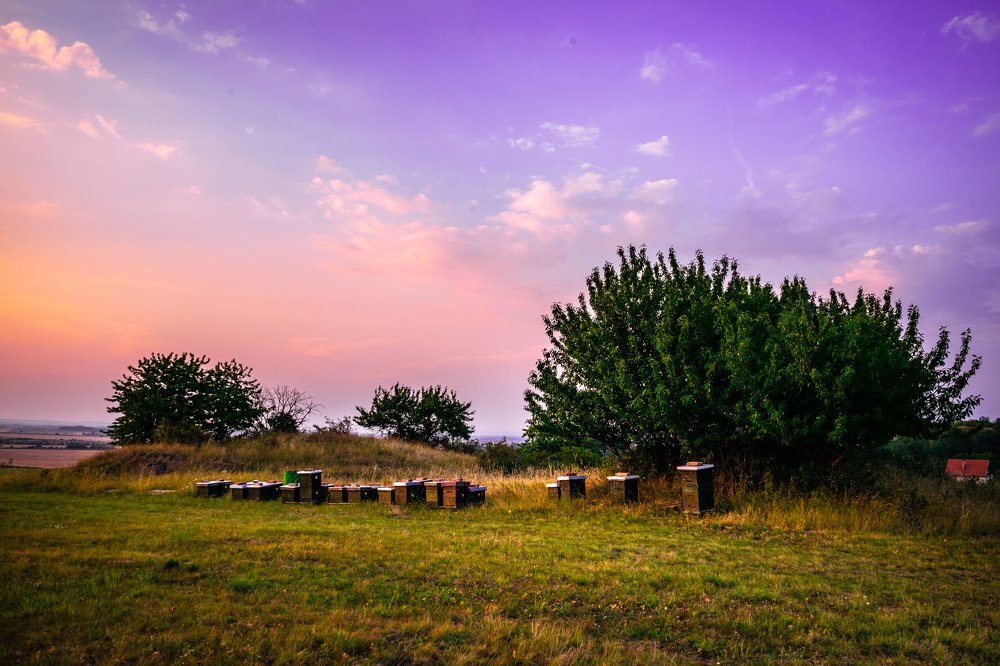 Photograph by Juraj Šulek