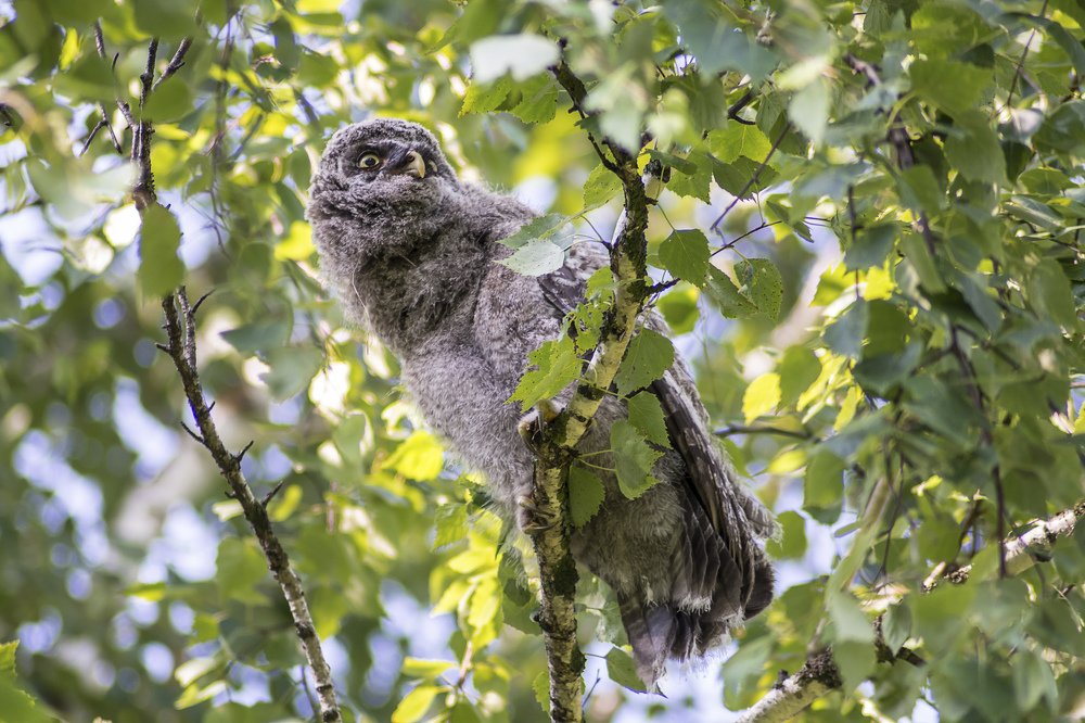 Photograph by сергей поспелов