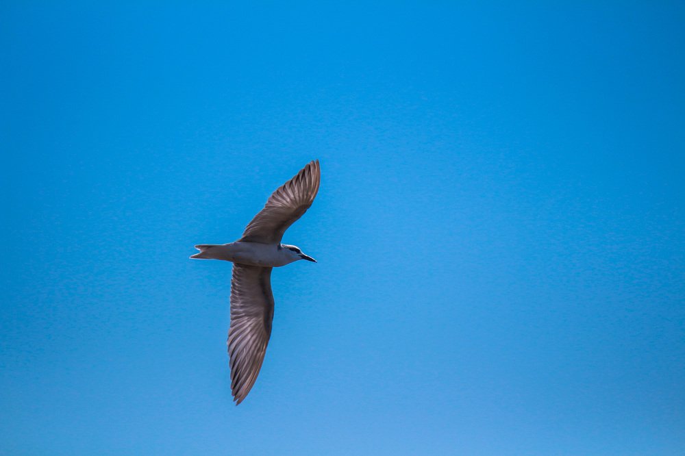 Photograph by Morteza Ghanbari