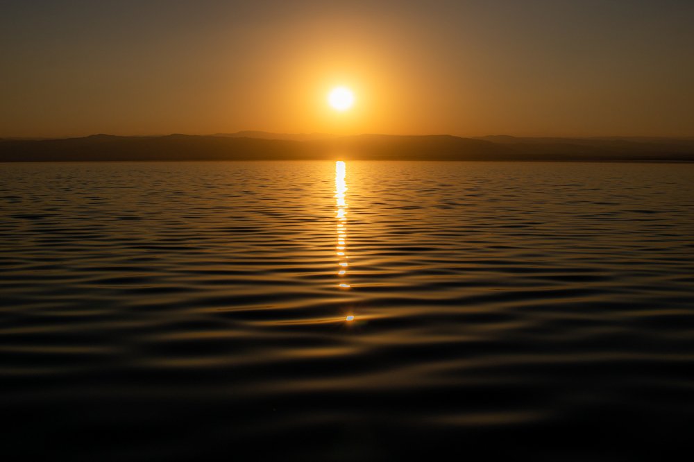 Photograph by Ali Abu Ras