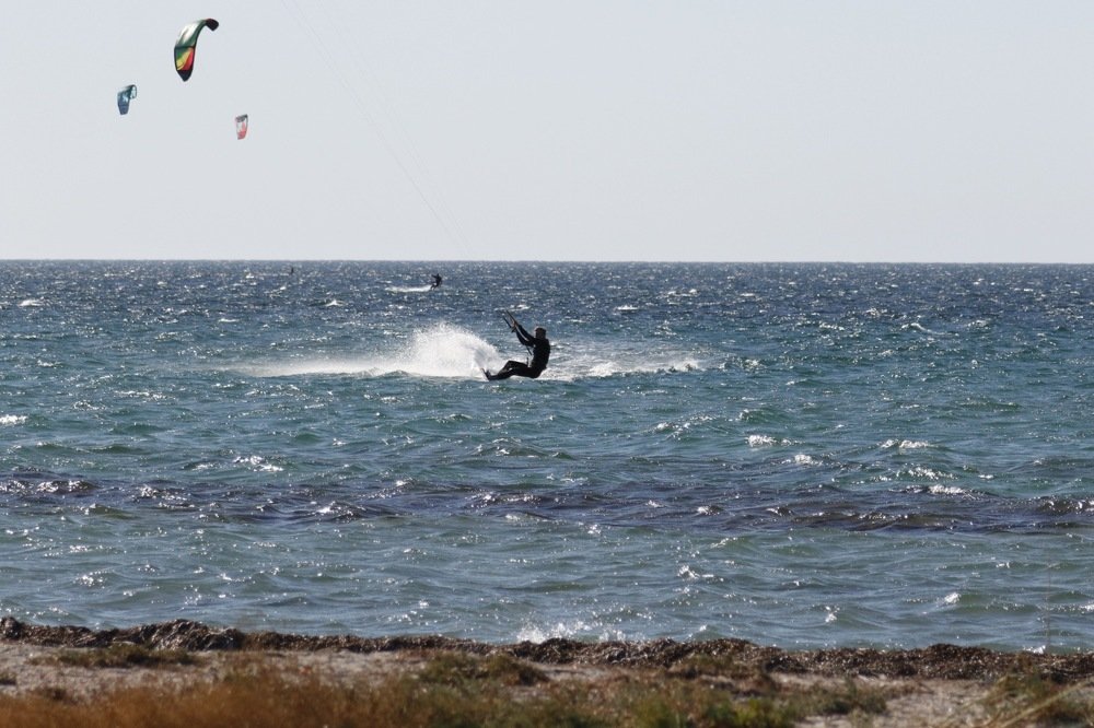 Кайтер тоже птица