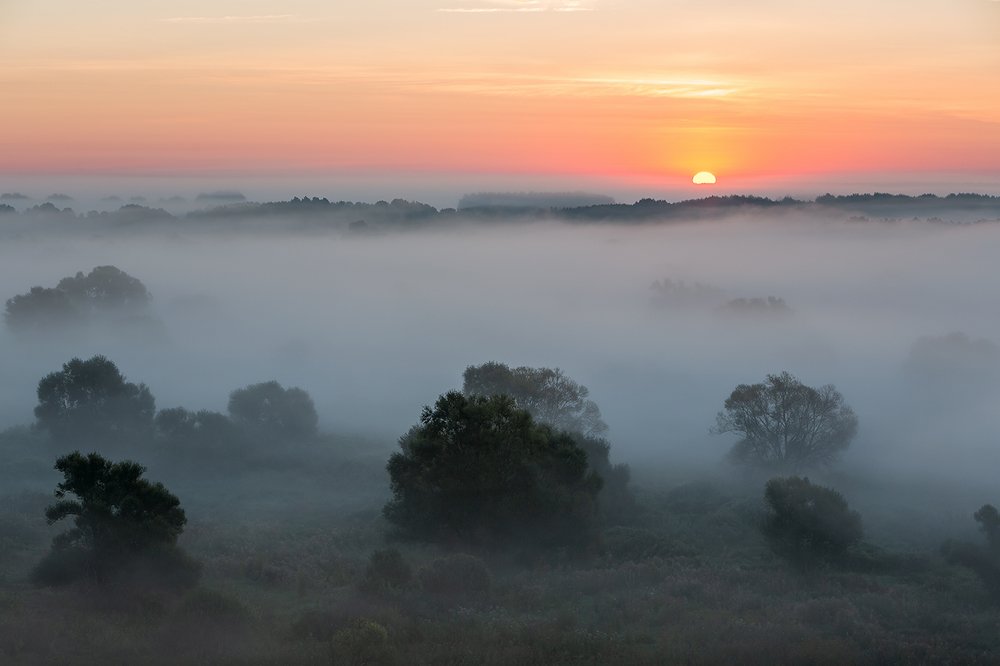 Фотография автора Юрий Сорокин