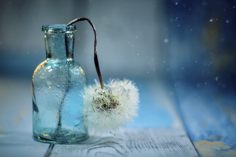 Photograph by Галина Царькова
