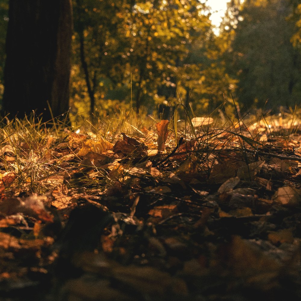 Photograph by Ярослав Акопян