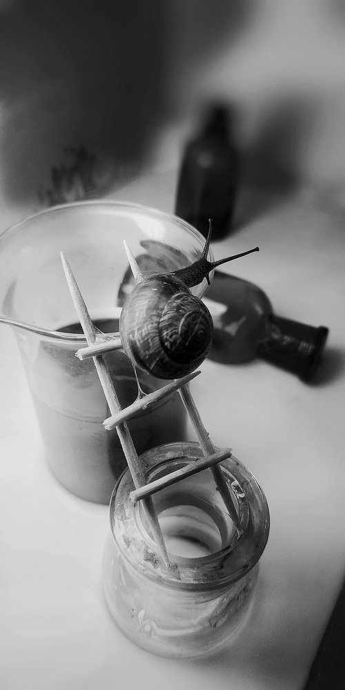 Photograph by Юлия Марфонова