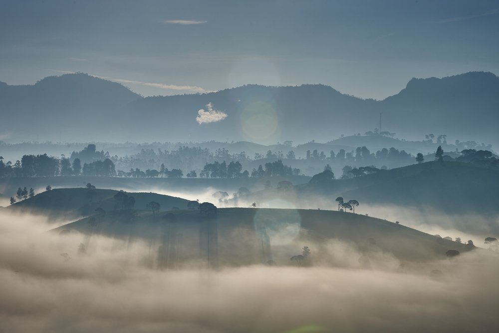 Photograph by Roland Andika Setiawan