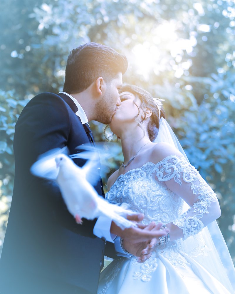 Photograph by pouya roosta