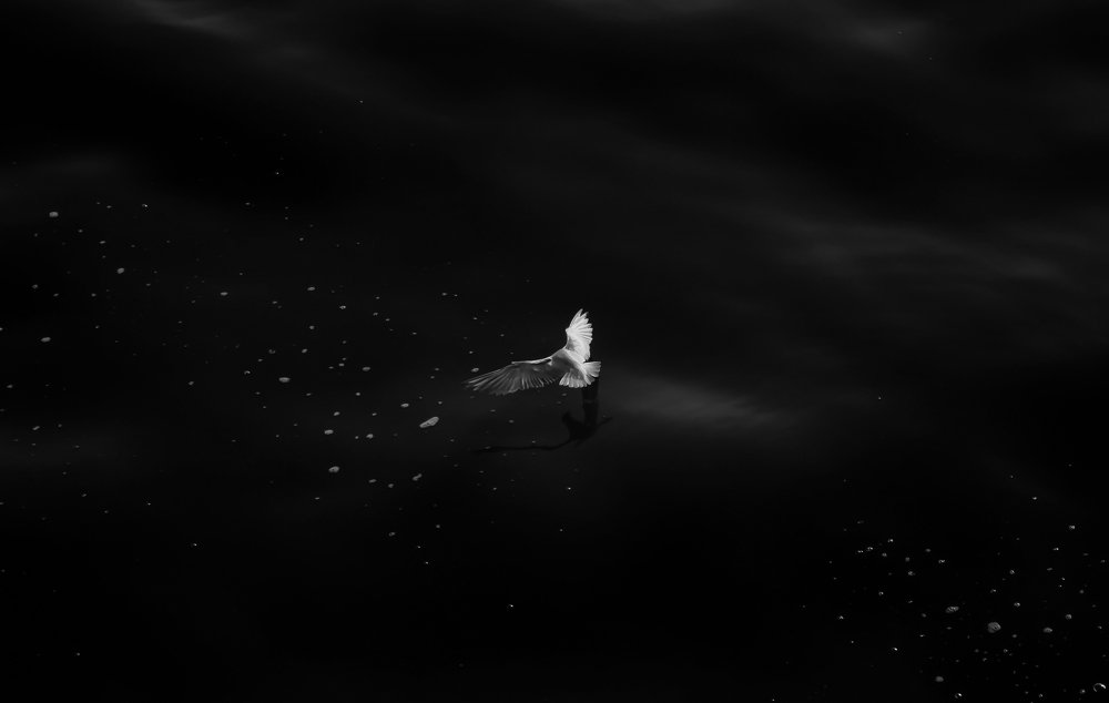 Photograph by Morteza Ghanbari