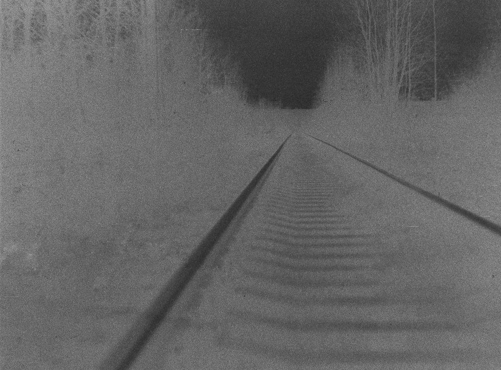 Photograph by Дмитрий Кравец