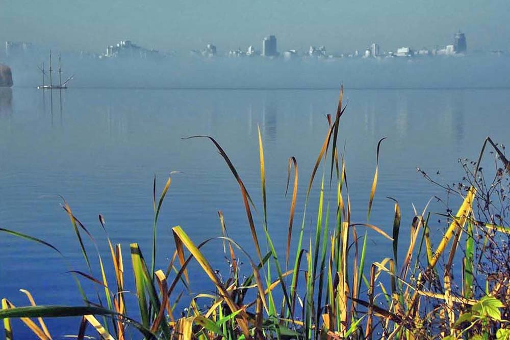 Воронеж вышел из тумана.