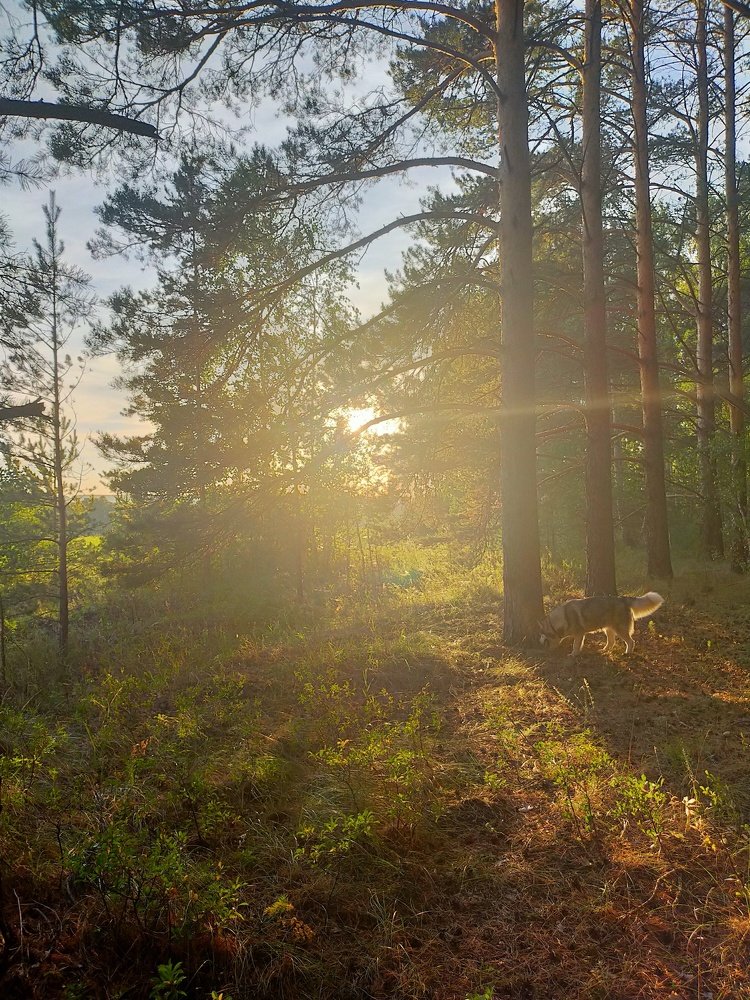 Photograph by Оксана Макарова