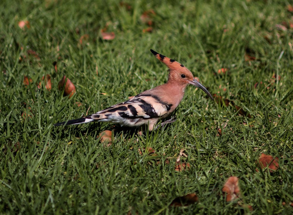 Photograph by Alexey Olkhovenko