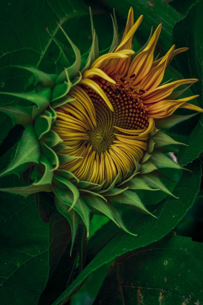 Photograph by Natasa Brkic