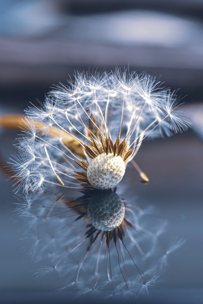 Photograph by Natasa Brkic