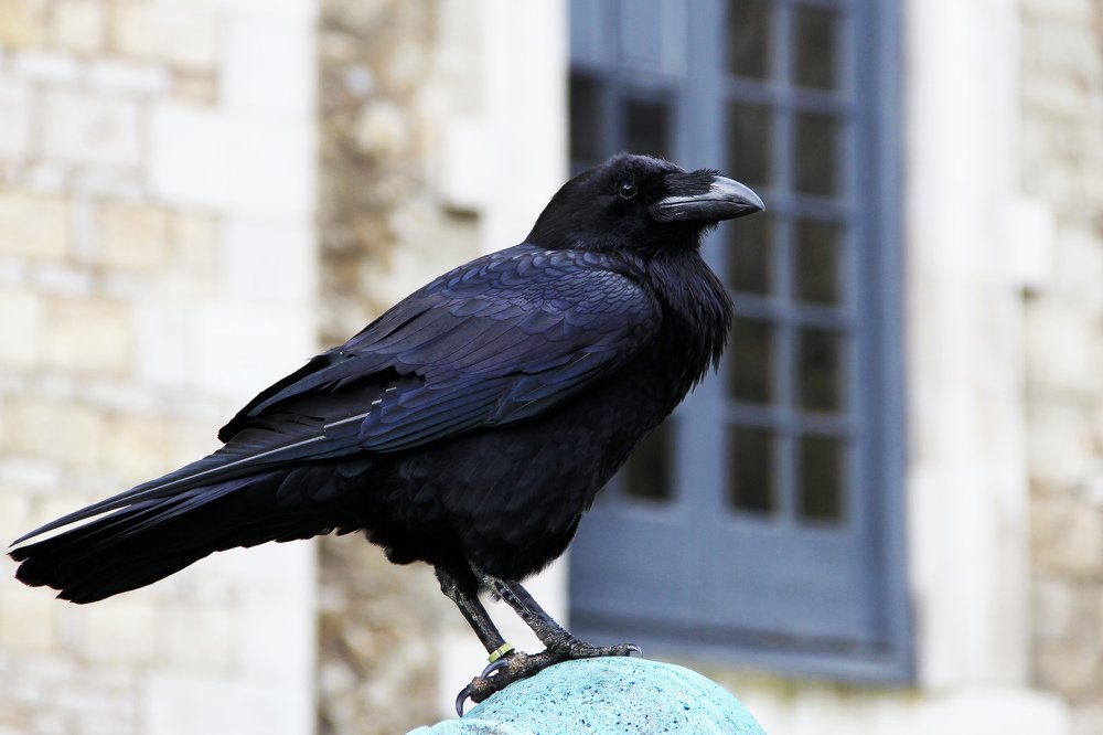 Photograph by Alena Poklonskaia