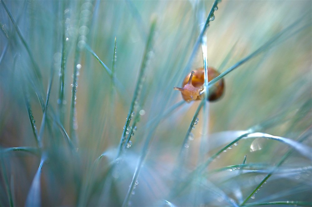 Photograph by Nataliya Mochernyuk