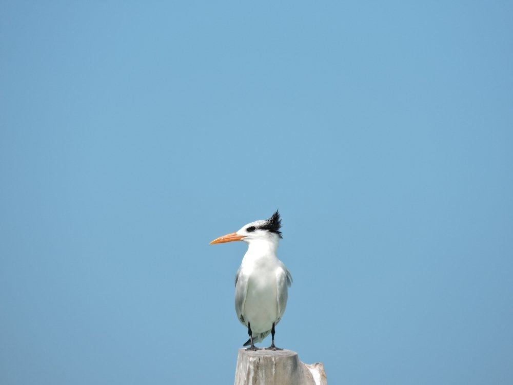 Photograph by Cléber Vinicius Demori
