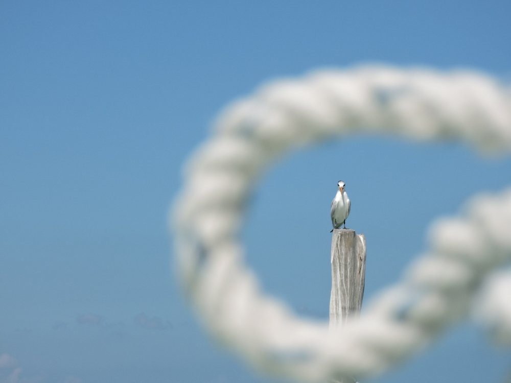 Photograph by Cléber Vinicius Demori