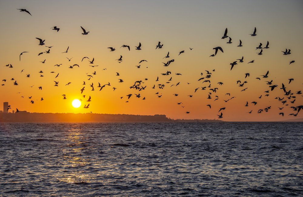 Photograph by Alena Poklonskaia