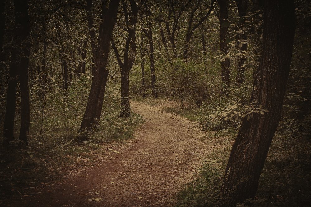 Photograph by Milena Cvele Cvetkovic