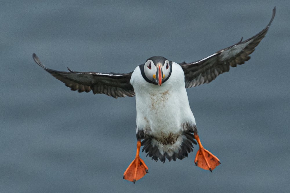 Photograph by Dominik Gugerli