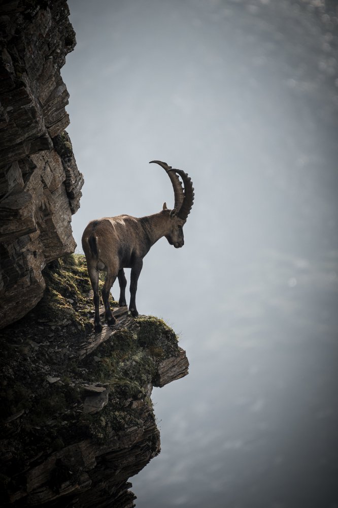 Photograph by Dominik Gugerli