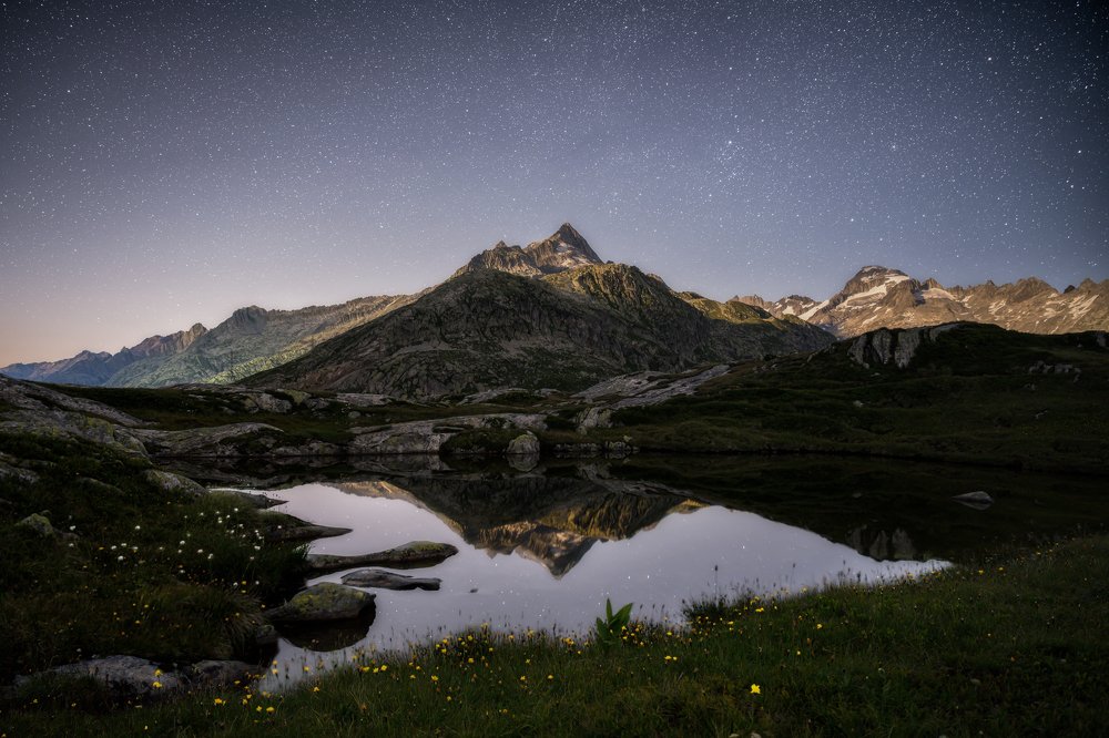 Photograph by Dominik Gugerli