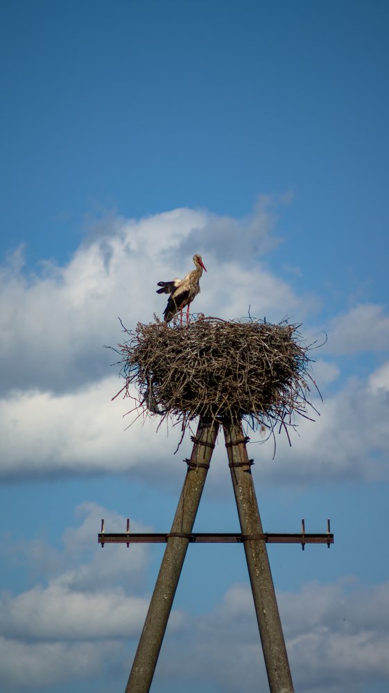Photograph by Даниэль Чашкин
