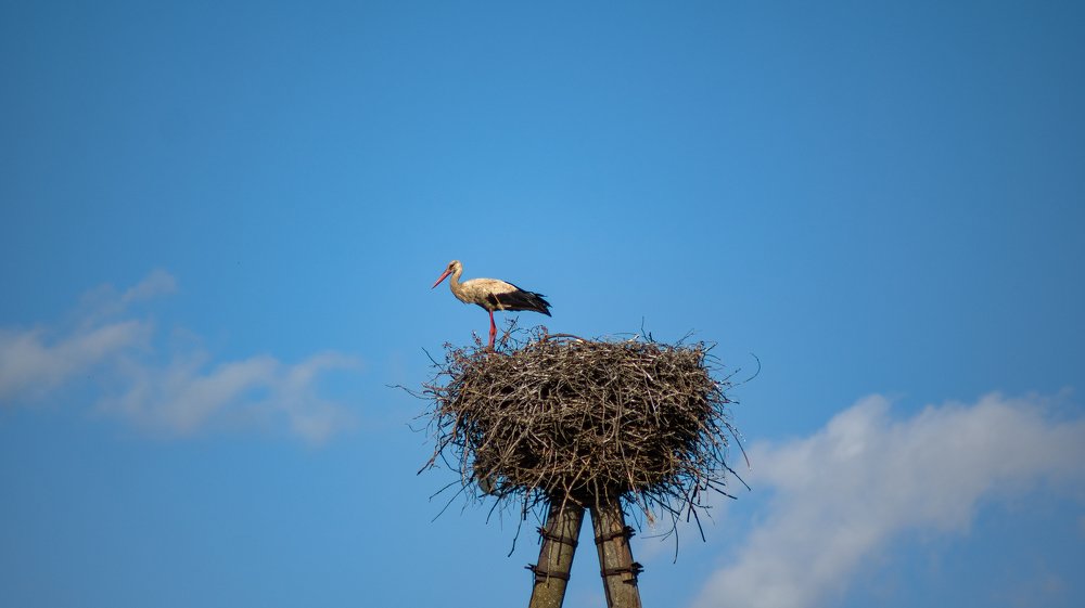 Photograph by Даниэль Чашкин