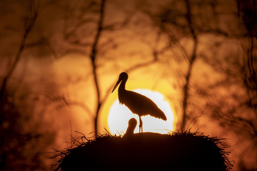 Photograph by Marcin Nalepka