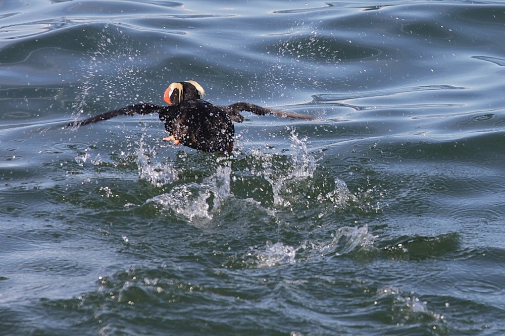 Photograph by Лада Денисова