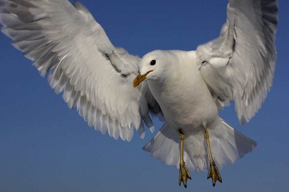 Photograph by Лада Денисова